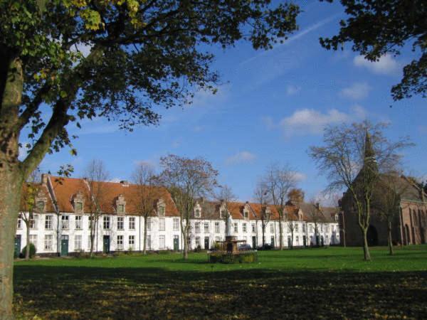 B&B Cosy Cottage Schoonaarde Bagian luar foto